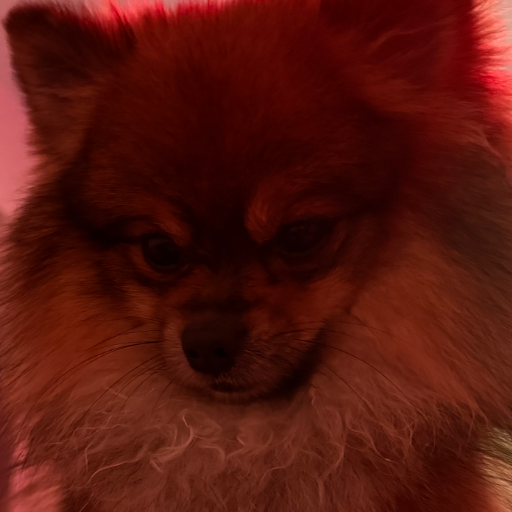 Хутик